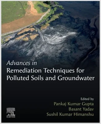 Advances in Remediation Techniques for Polluted Soils and Groundwater